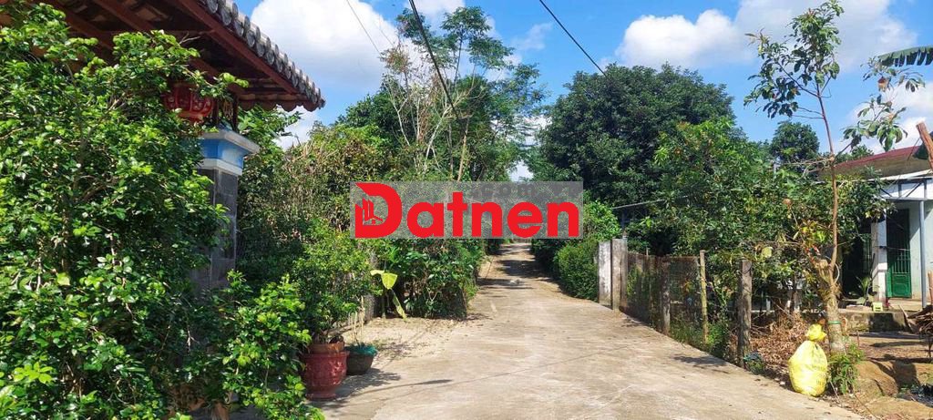 Đất xây nhà vườn làm kho bãi 550m2 có 120m2 đất ở ngang rộng 22m