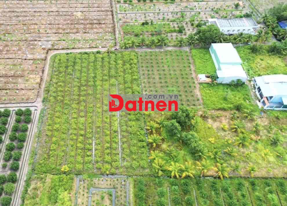 3100m(44x65m) chuyển full thổ cư. Nhựa vô 300m, về Bình Chánh 15km