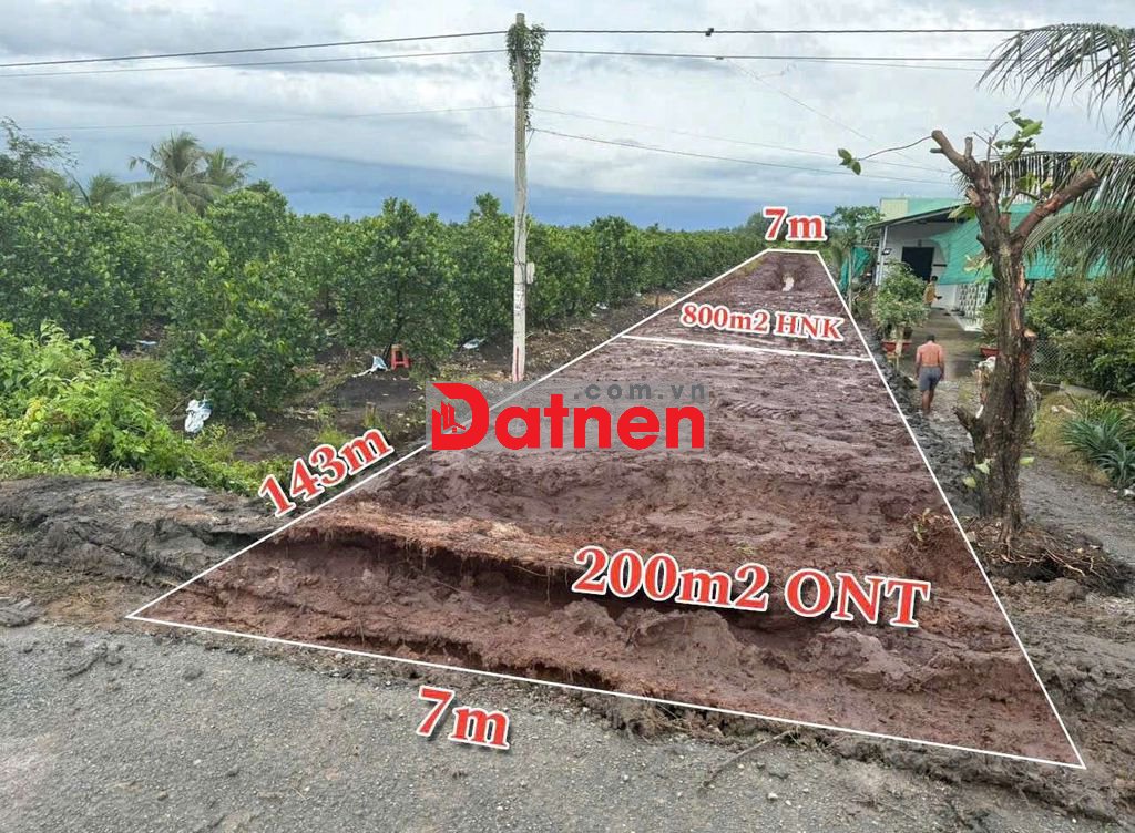 MẶT TIỀN ĐT818 : 1000mv CÓ 200 THỔ CƯ, THỦ THỪA LONG AN