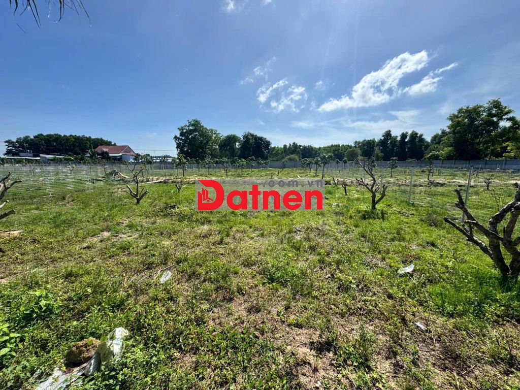 Bán đất xây biệt thự nhà vườn 1376m2, 200m thổ cư, xã Láng Dài, Dat Do