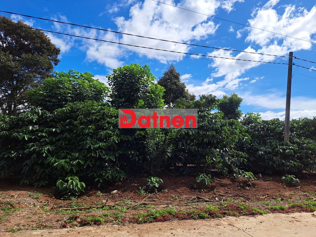 Đất chính chủ Liên Hiệp, Đức Trọng – có thổ cư, cách QL27 chỉ 50m