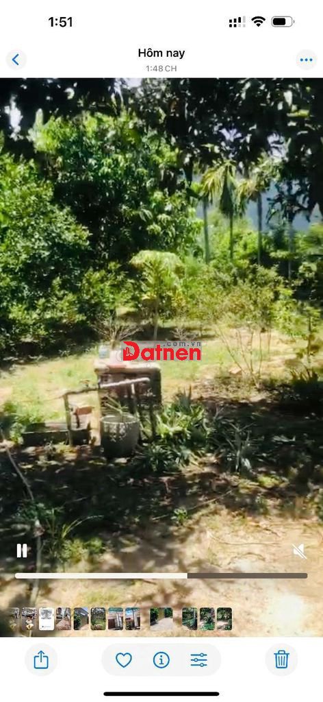 Bán đất gò sắn có cây ăn trái sẵn, vào xay nhà ở ngay