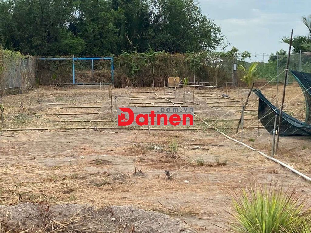 BÁN ĐẤT NÔNG NGHIỆP HIỆP PHƯỚC NHÀ BÈ