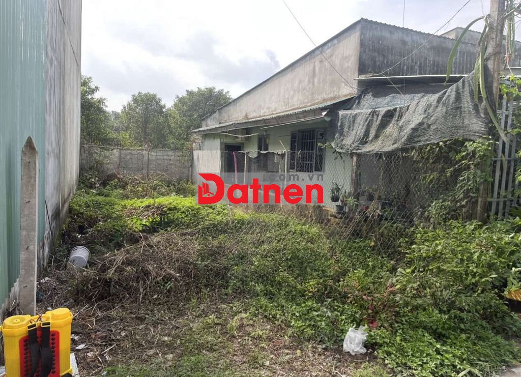 ĐẤT LƯƠNG BÌNH THỔ CƯ 100%