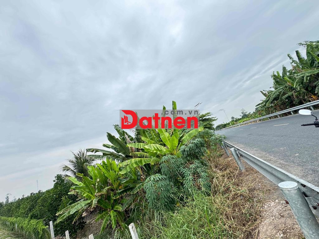 Cần bán đất vườn mít đang cho thu hoạch