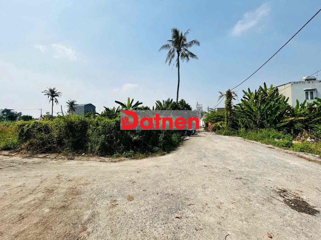 Đất SHR Tx52 hẻm 8m giá 3,05 tỷ