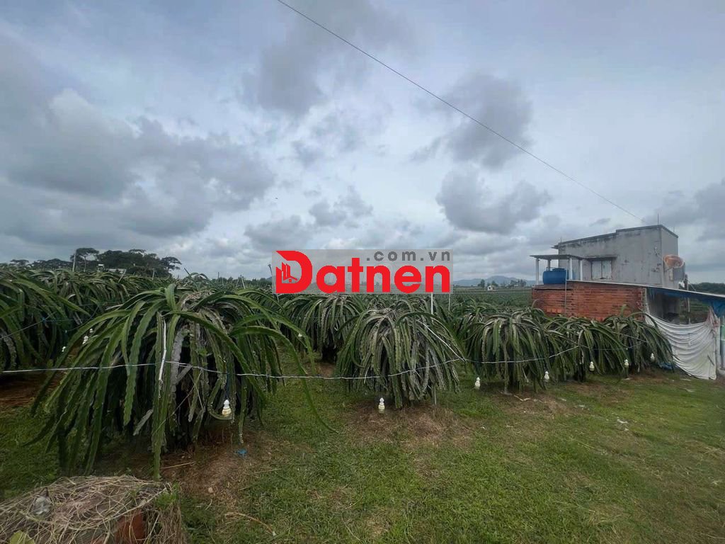 Cần bán gấp ; giá thương lượng