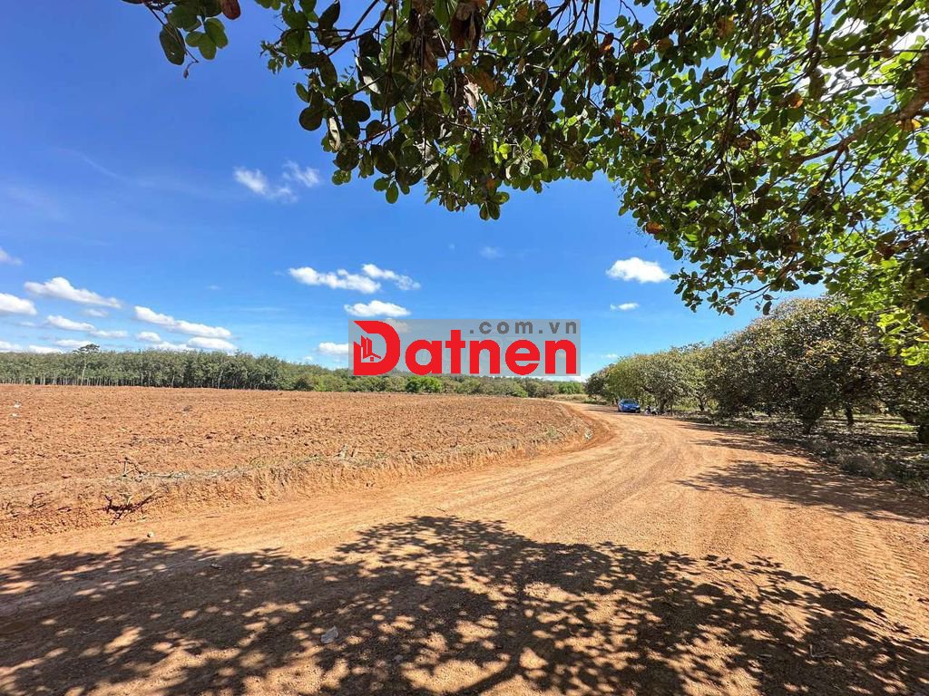 Bán lô đất kế cạnh KCN gần tuyến số 2, 3300m2, giá 1tỷ bao mọi chi phí