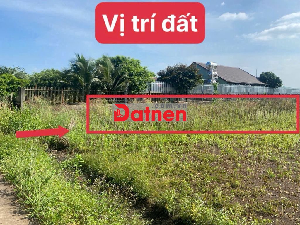 Bán đất 1000m2 ấp 2, Xuân Tây ( Xuân Đông mới), Cẩm Mỹ, Đồng Nai