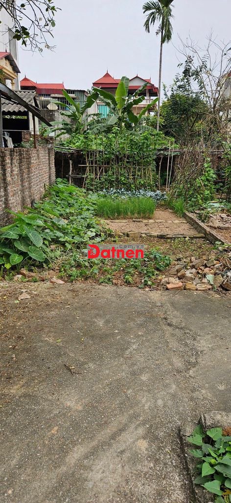 💥 💥Bán 69m2 đất Thôn Đoài, Nam Hồng, Gần Chợ , 🚘 Ô TÔ đỗ cổng.