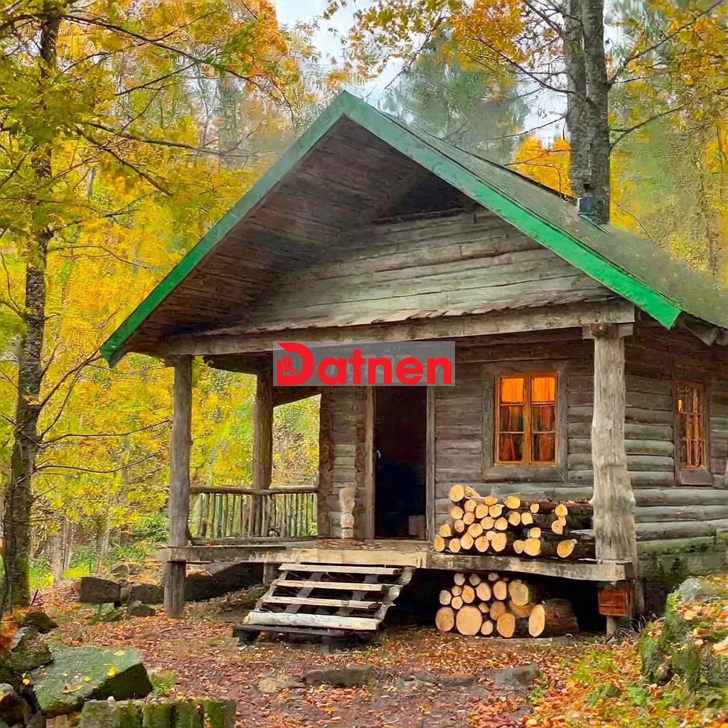 BÁN ĐẤT RỪNG THÔNG NGAY VIN LÀNG VÂN