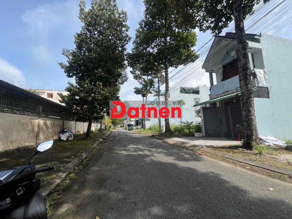 NỀN ĐỐI DIỆN TRƯỜNG HỌC QUÁ RẺ