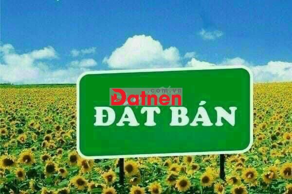 ĐẤT ĐẸP GIÁ RẺ, CHÍNH CHỦ CẦN BÁN GẤP