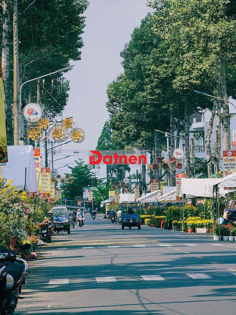 BÁN ĐẤT MẶT TIỀN - Festival hoa Sa Đéc, Phố Tôn Đức Thắng
