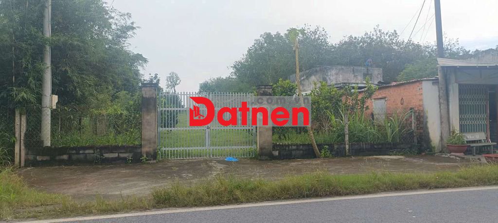 Đất đường Nguyễn Thị Rành - 3977m - 12x120 nở hậu 45 - 310m thổ cư