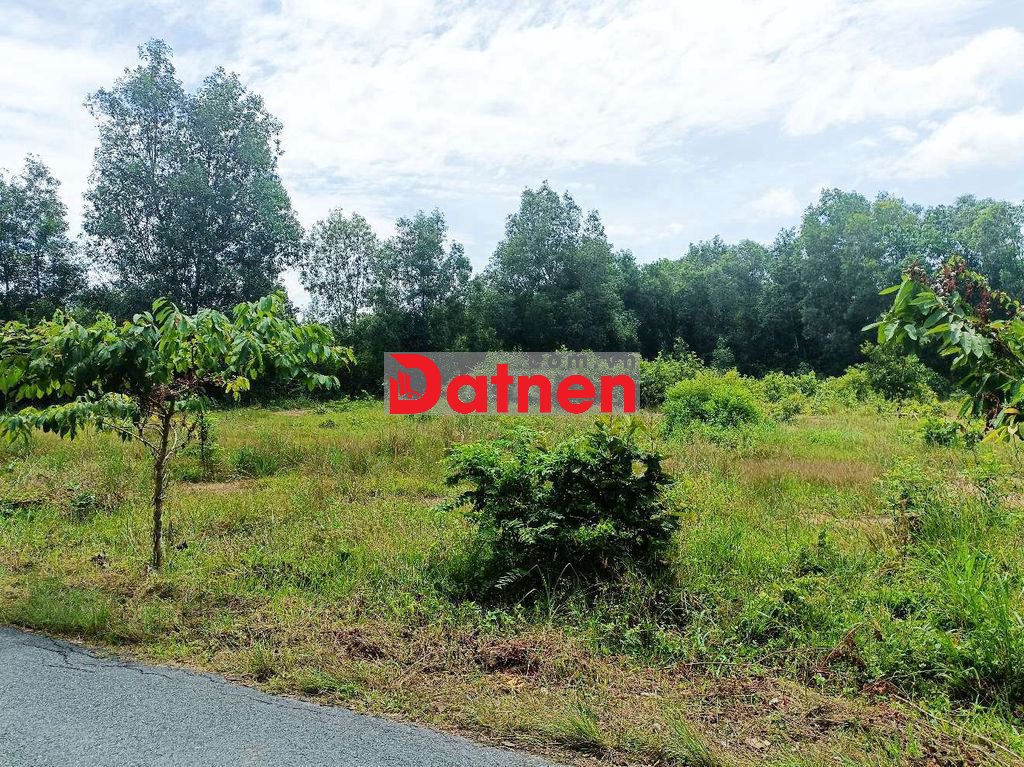 Đất đường Tăng Thị Hội - 4007m - 74x88 - 3425m thổ cư - Củ Chi