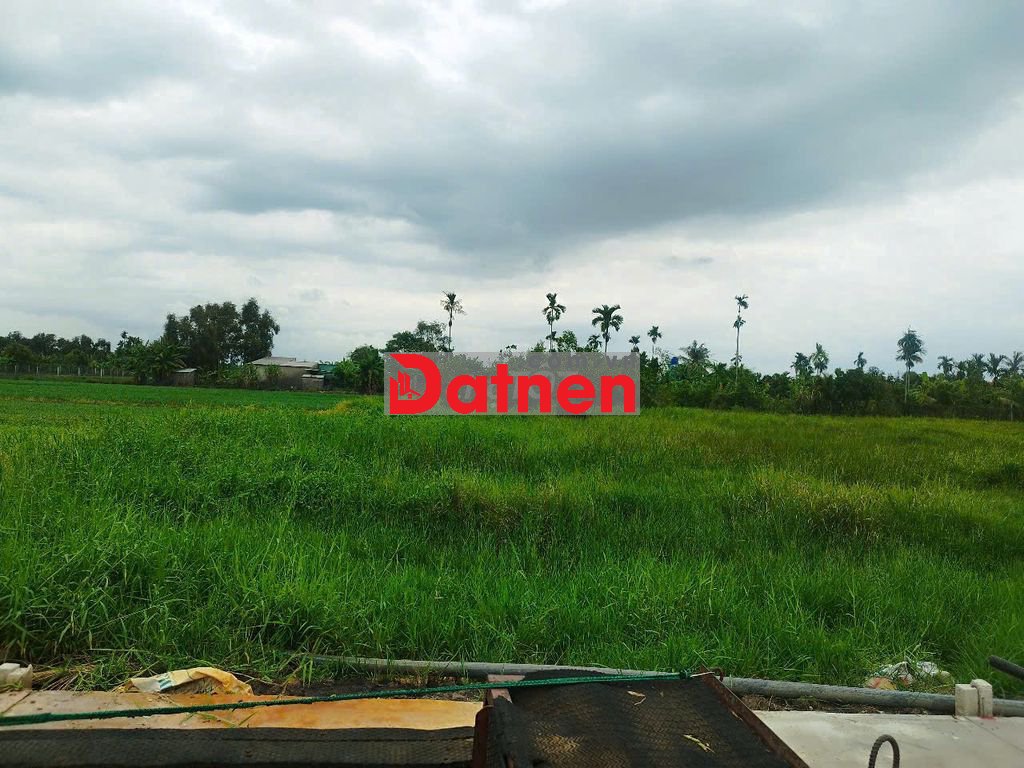 Đất full thổ xây dựng được ngay xã Bình Mỹ chỉ 1.65 tỷ