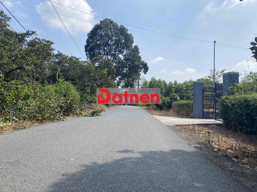 BÁN ĐẤT ĐƯỜNG ĐẶNG XUÂN BẢNG SUỐI NHUM HẮC DỊCH - GIÁ 1,5XX TỶ