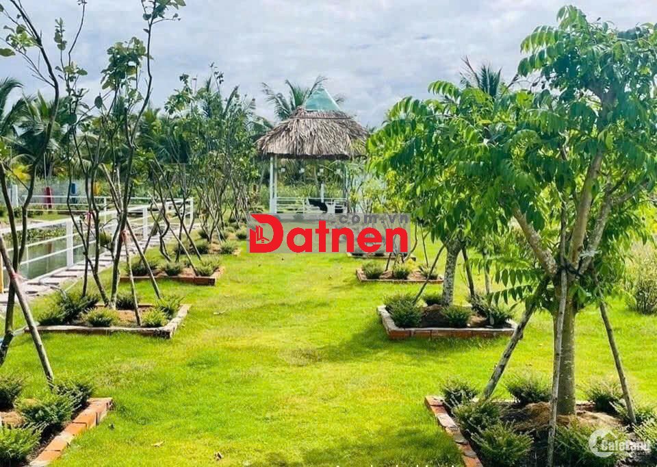 ĐẤT VƯỜN TỈNH LỘ 7,THÁI MỸ,CỦ CHI, DT716m2, SỔ RIÊNG