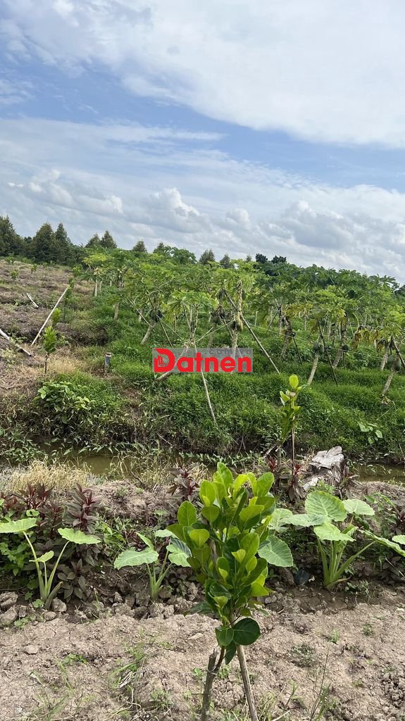 Bán đất nghỉ dưỡng