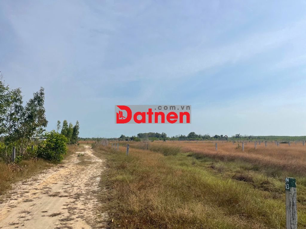 Bán 1009m2 đất khu rừng Vàng LaGi, Lâm Đồng gần biển giá ngộp 1.25 tỷ