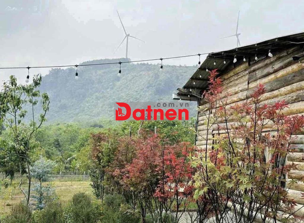 CHÍNH CHỦ CẮT LỖ 40% ĐẤT ĐÀ LẠT CÓ SẴN CĂN NHÀ GỖ VIEW RỪNG THÔNG