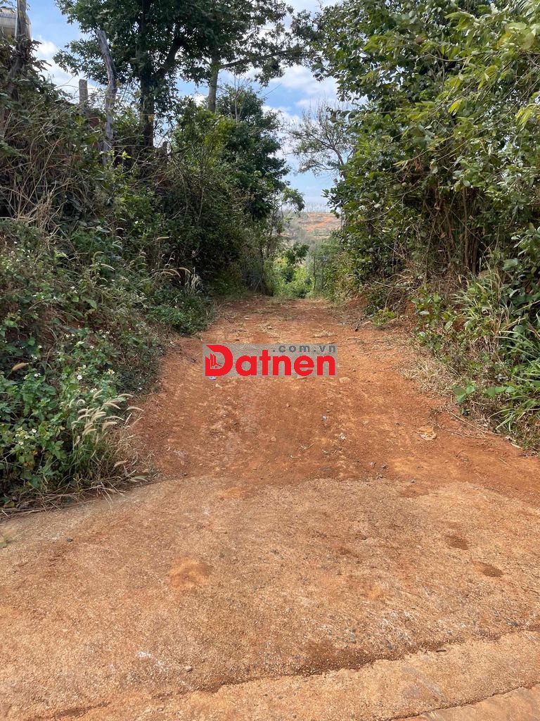 Bán đất rẫy có nguồn thu