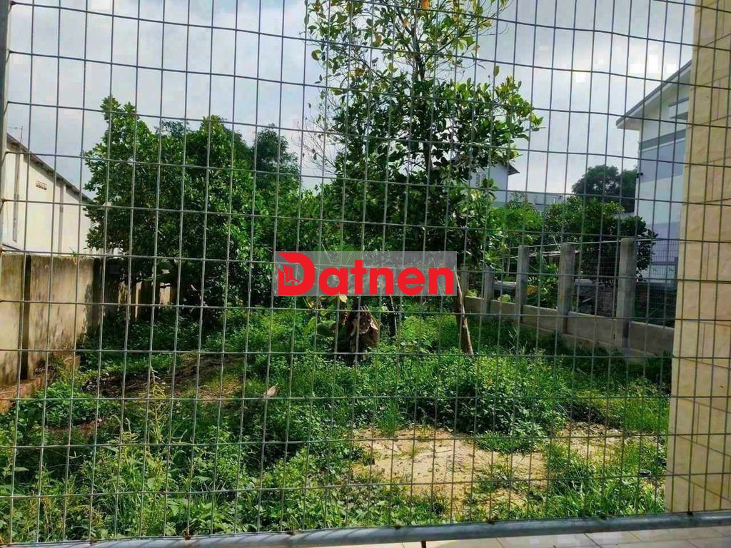 Bán đất đấu giá Lai Xá cạnh ĐH TĐ Hoài Đức 75m MT= 5m chỉ 12.6 tỷ.