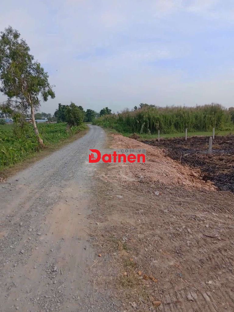 Bán đất mặt tiền Rạch Cây Xanh góc 2mt view Sông thoáng mát