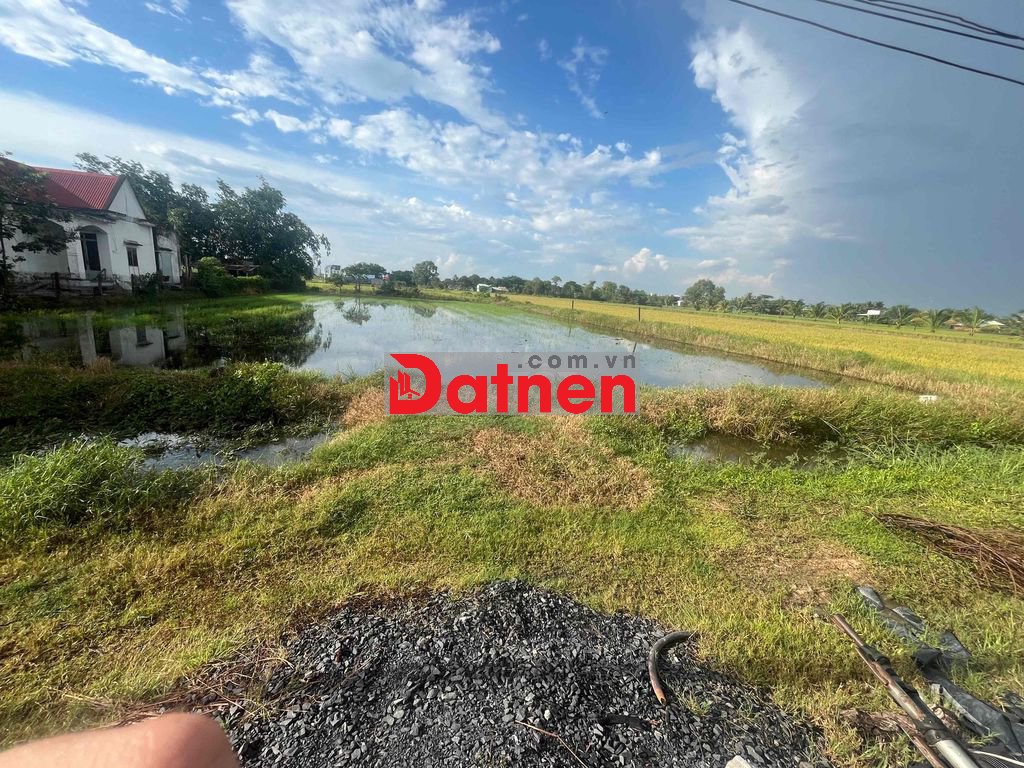 Chính chủ kẹt tiền ngân hàng cần bán gấp miếng đất lúa