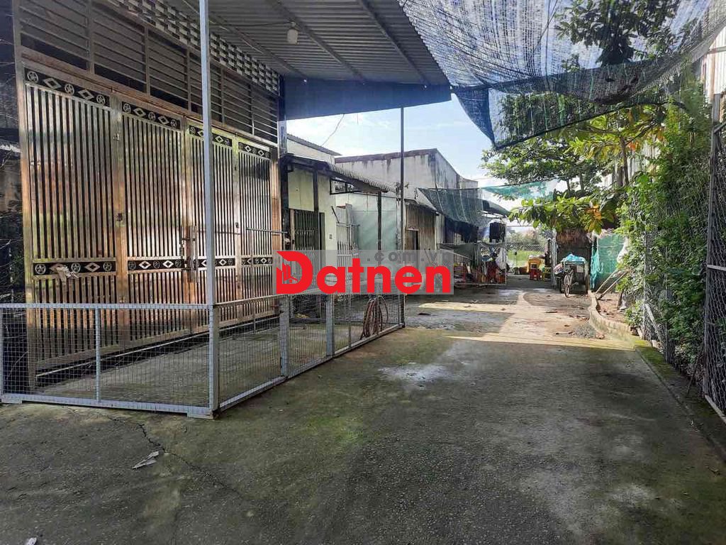 Bán đất tại Mỹ Hạnh Nam, Đức Hoà