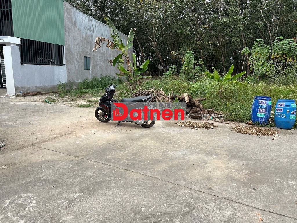 Bán đất Tân định,vị trí đẹp đường thông,giá cả thương lượng