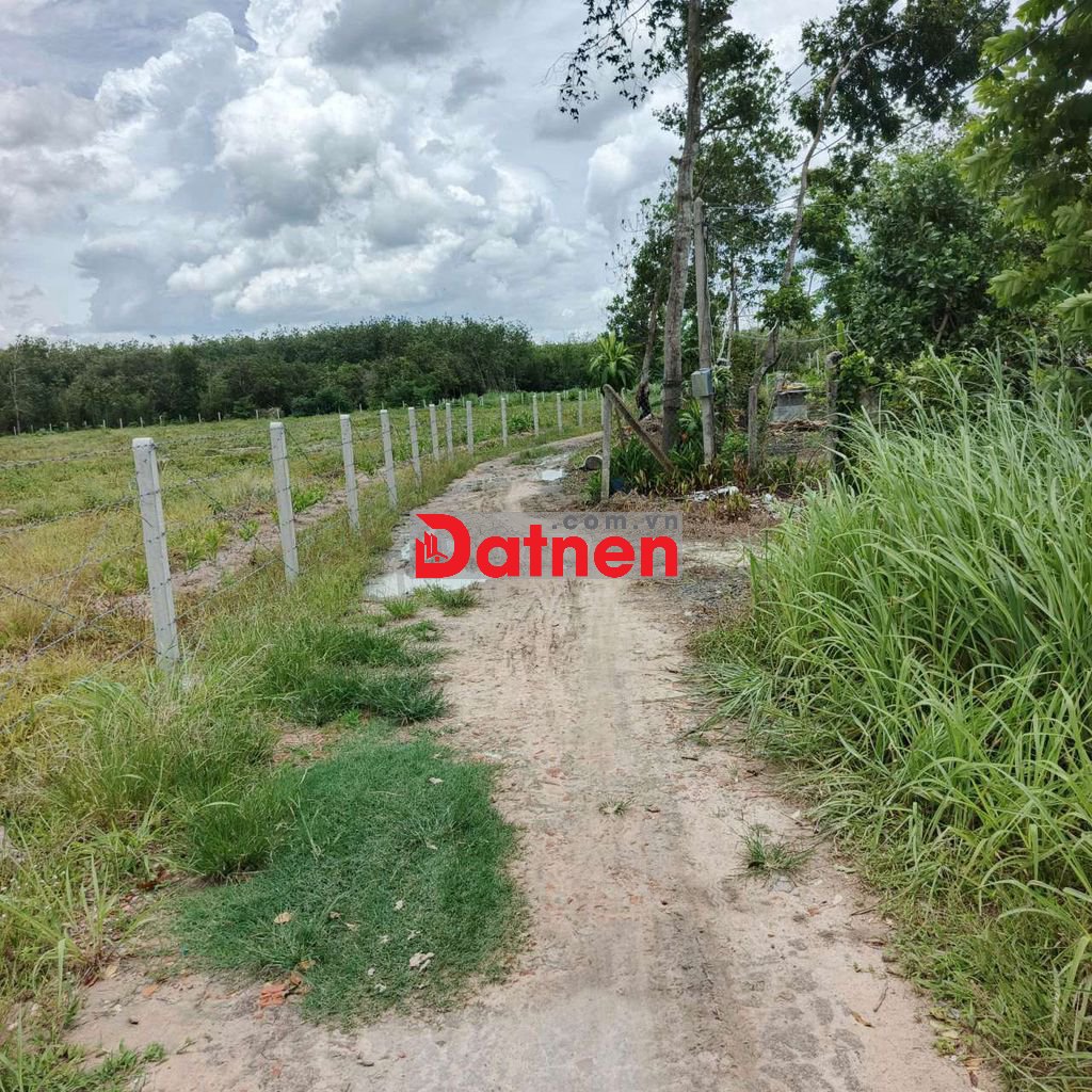 Gần 2 công đất trường hòa. Chỉ 675 triệu 1công