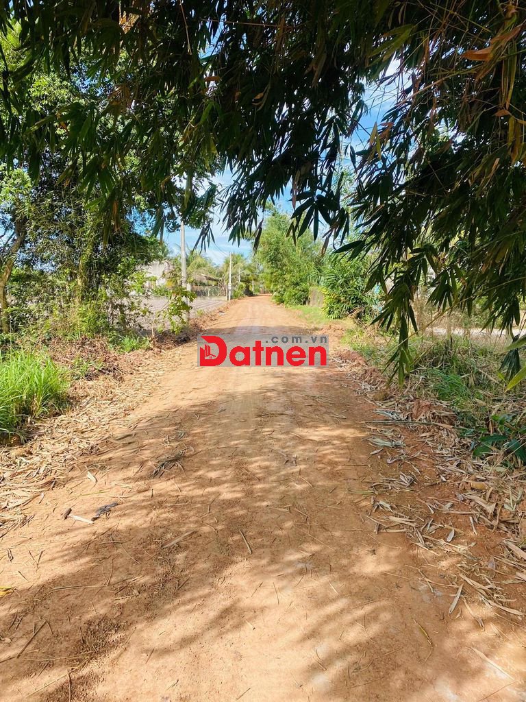 đất phước ninh gần sân bay