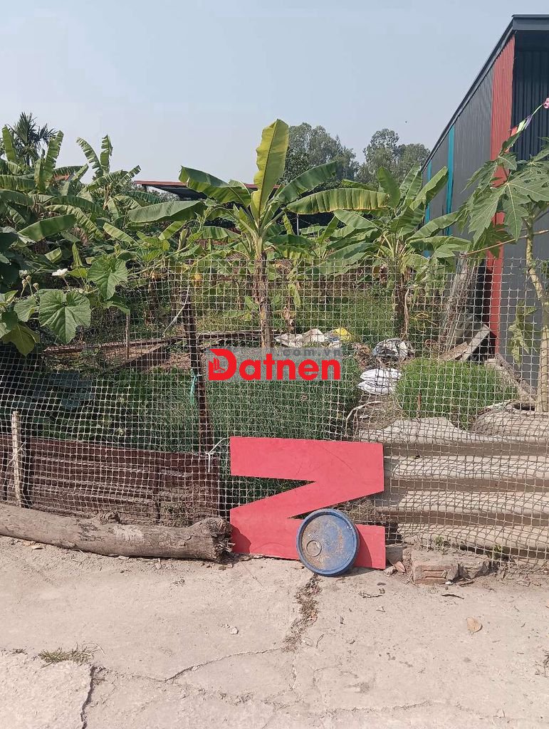 Bán Đất - Lạc Nông (Sóc Sơn) - 94M2 - 3,05 Tỷ - Xe Tải Vào Tận Đất