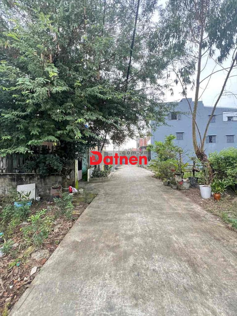 BÁN LÔ ĐẤT SIÊU ĐẸP CÁCH CHỢ TRƯỜNG HỌC CHỈ 200m