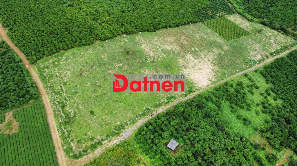 CẦN BÁN GẤP 26 NỀN BLA CẮT LỖ CHO NHÀ ĐẦU TƯ, MT 6M DÀI 200M GIÁP SUỐI