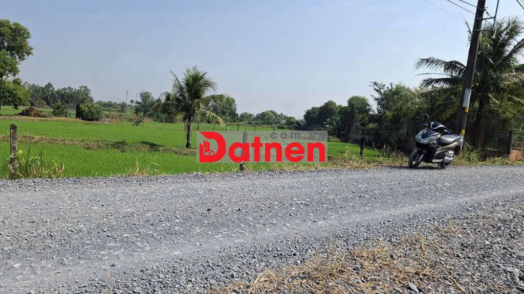 Bán đất Bình Chánh giá rẻ