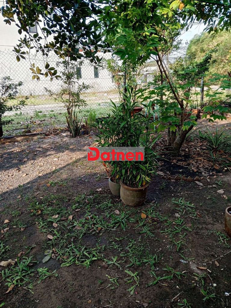 Đất trồng cây lâu năm tại củ chi