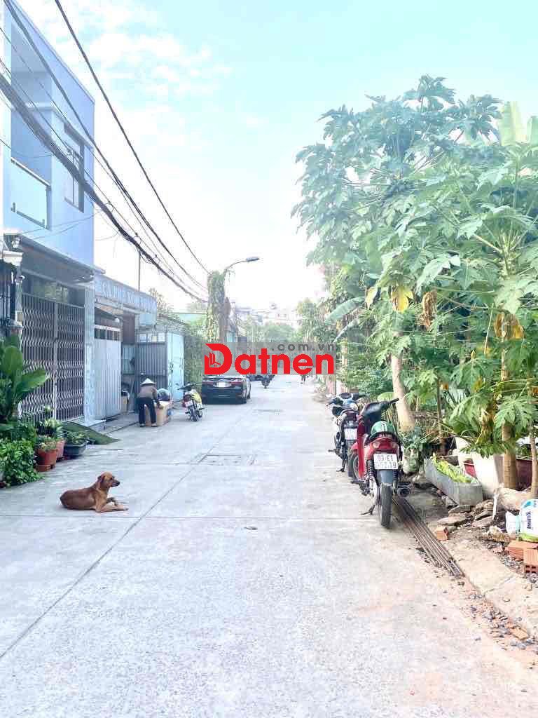 ĐẤT LÊ TRỌNG TẤN – TÂY THẠNH-66m² (4,3 x 16)