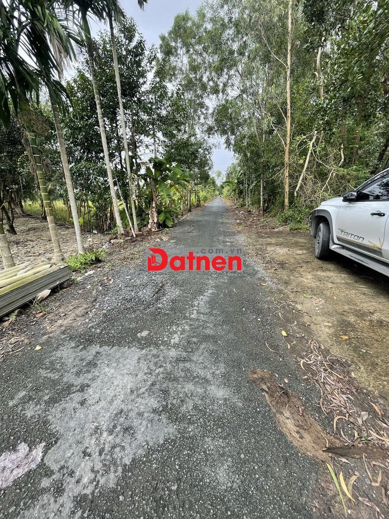 Bán đất Diện Tích Lớn ở Hỏa Lựu, Vị Thanh, Cần Thơ