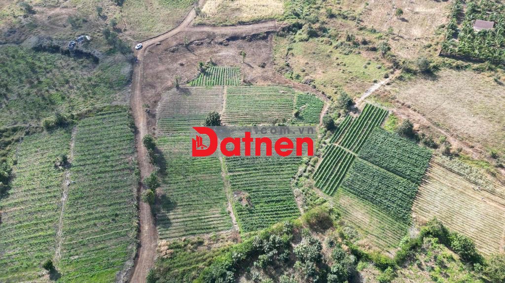 đất thôn 8 cư bua phường buôn ma thuộctỉnh đăk lăk