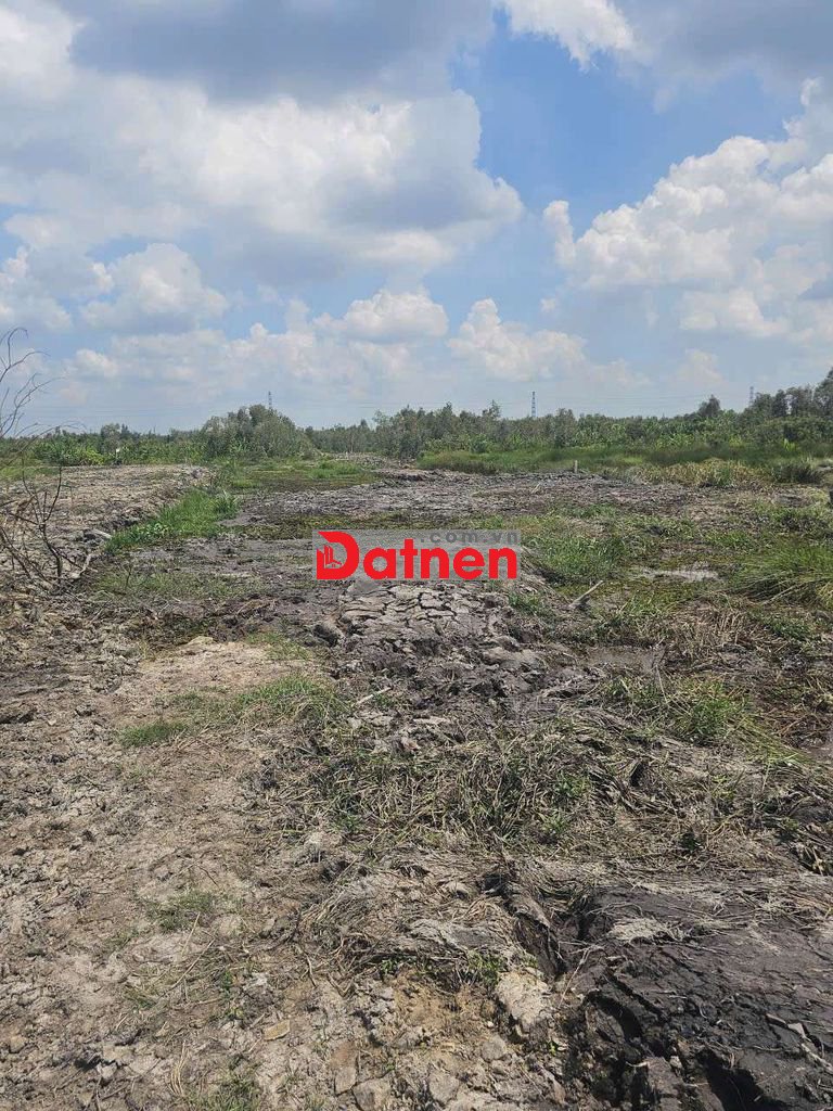 1500m2 đất cây hàng năm,gần UB Thái Mỹ cũ