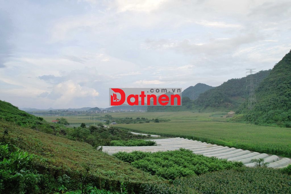 Chính chủ Bán nhanh mảnh đất gần Mộc Châu 2100m2