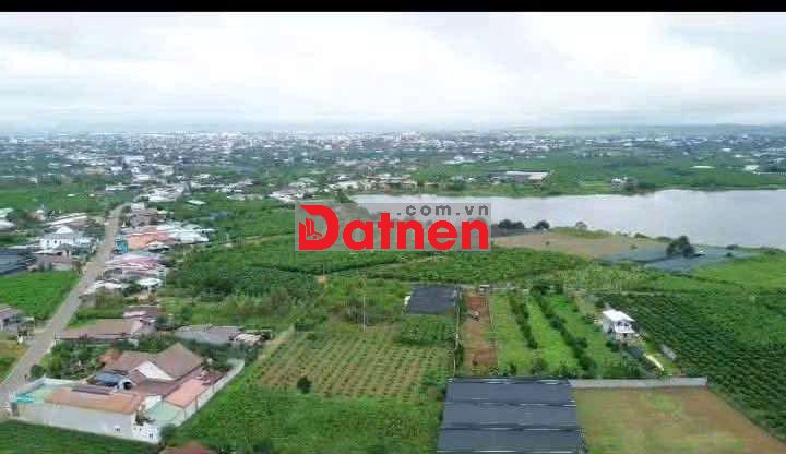 Tôi cần bán gấp đất cạnh hồ Lộc Thanh Bảo Lộc hơn 1000m2 có 200 đất ở