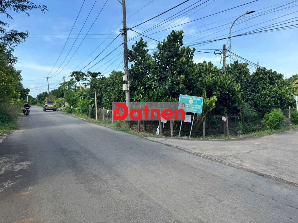 NHÀ & VƯỜN MÍT - 2 MẶT TIỀN NHỰA SIÊU DÀI - VUÔNG VẮN !