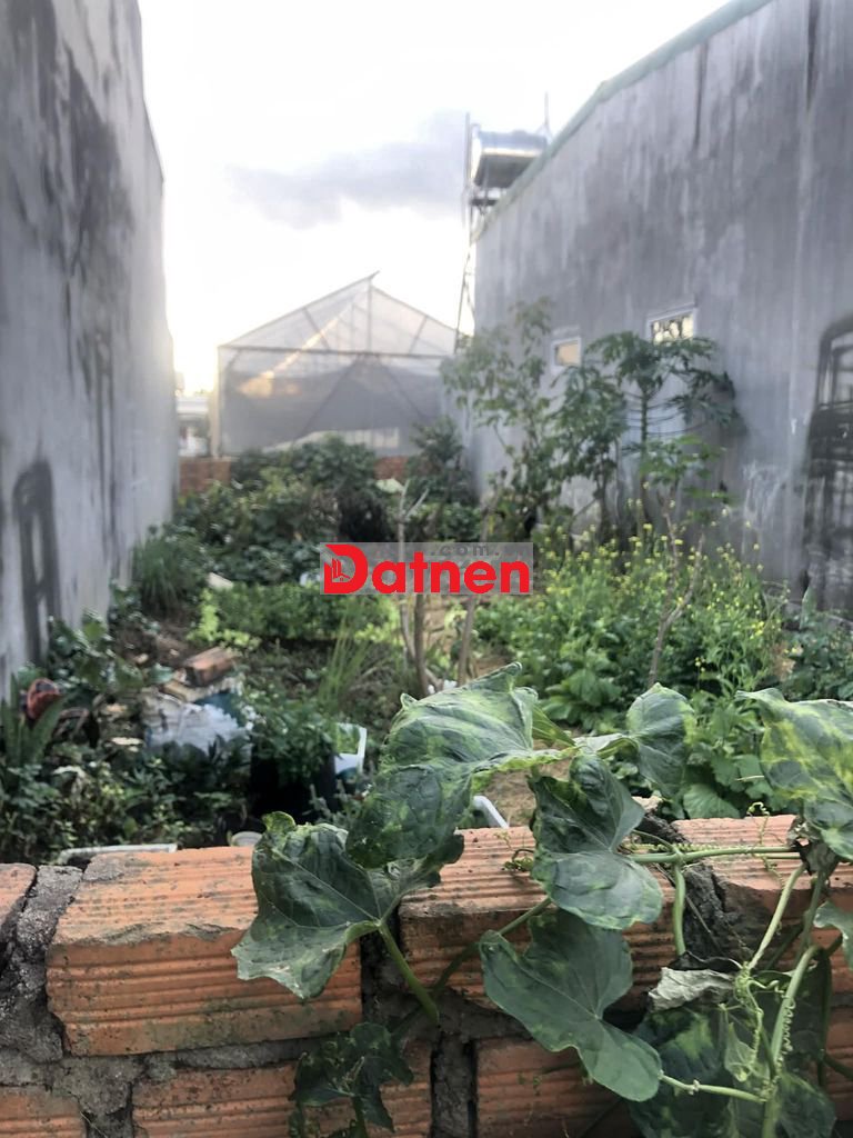 Bán đất sổ đỏ 103,5m2 Đường lên chùa Quan Âm, Hiệp An, Đức Trọng, LĐ