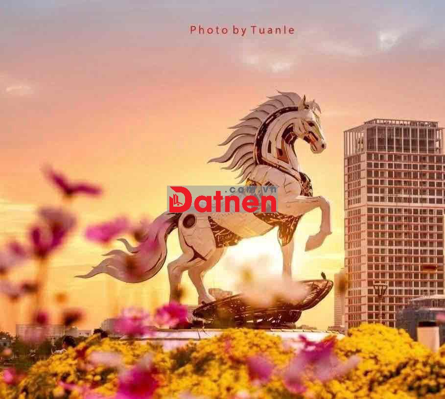 Bán đất Dự án Nam hoà xuân giá tốt