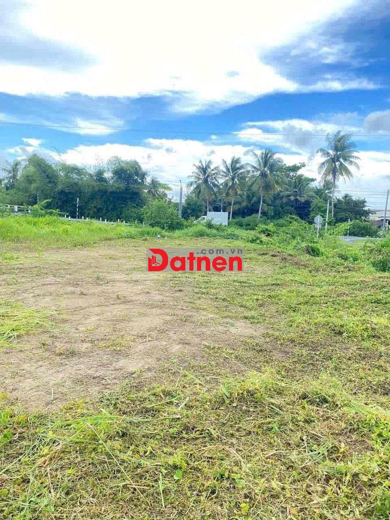 NGỘP NGỘP!!! FULL THỔ CƯ MẶT TIỀN 909