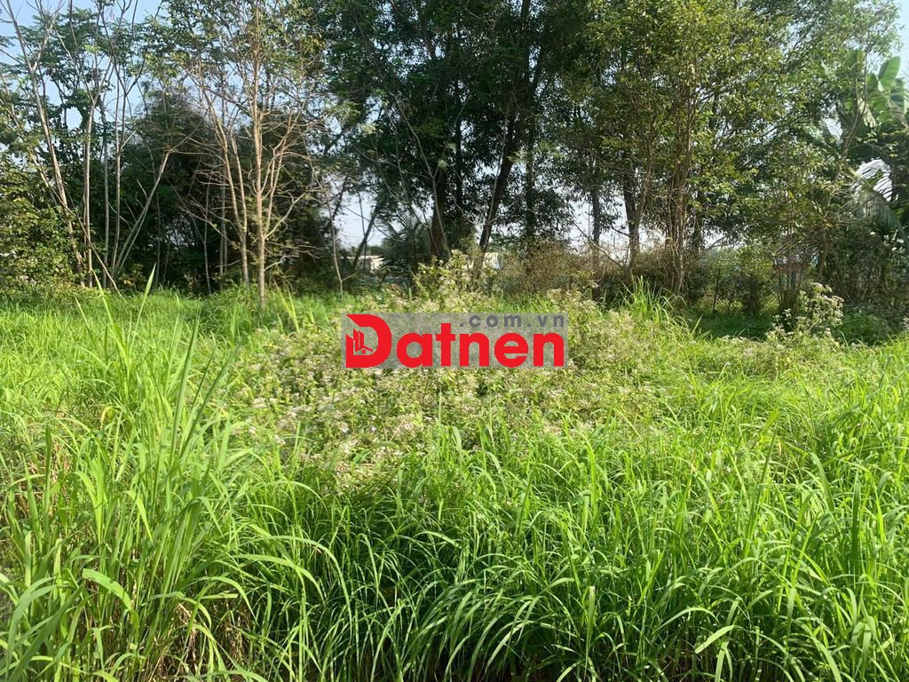 72m² đất thổ cư Phước An Nhơn Trạch – giá chỉ 1,2 tỷ, sổ riêng KDC